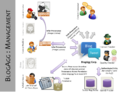 Thumbnail for version as of 10:34, 30 April 2010