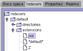 jsp extension location