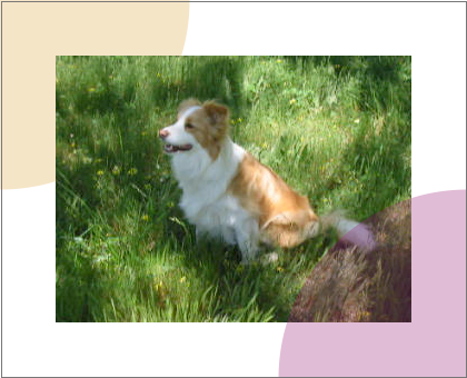 Example of the video element
partially obscured by regular SVG graphics