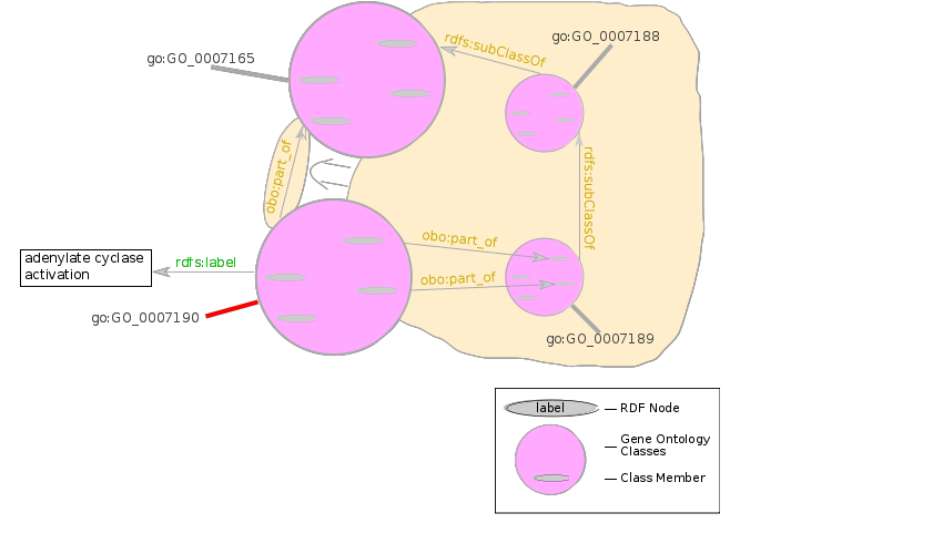 obo:part_of Rule