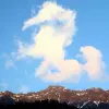 Xi Cao's profile picture