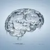 Emmett Coin's profile picture